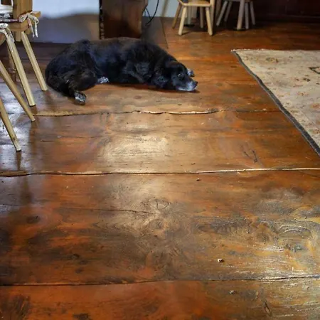 別荘 Historischer Vogtshof: Eingezaeunt | Sonniger Garten | Kamin | Denkmalschutz