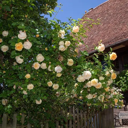 Historischer Vogtshof: Eingezaeunt | Sonniger Garten | Kamin | Denkmalschutz * ロットヴァイル