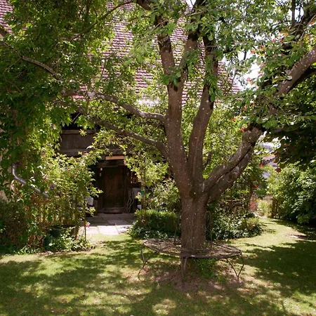 Historischer Vogtshof: Eingezaeunt | Sonniger Garten | Kamin | Denkmalschutz ロットヴァイル